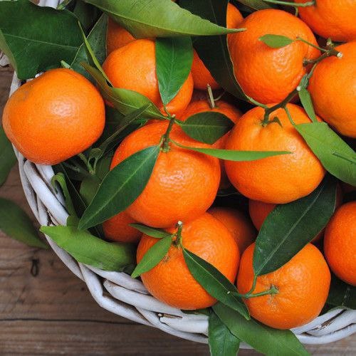 Ne zavrzite lupine mandarin